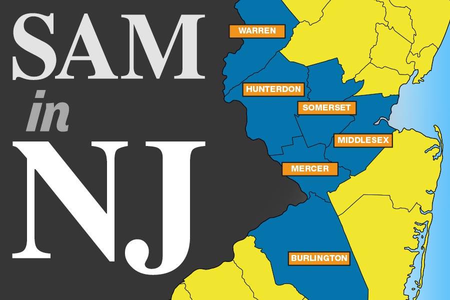 to Service Access and Management, Inc.